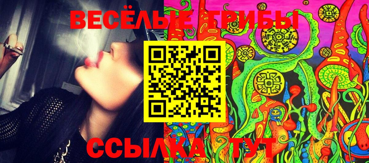 Псилоцибиновые грибы ЛСД Назарово