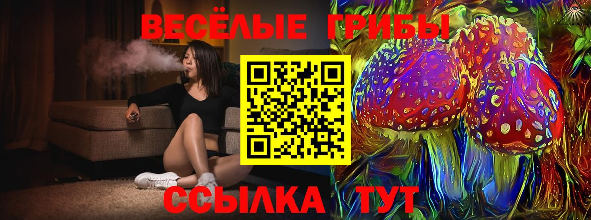 Галлюциногенные грибы MAGIC MUSHROOMS  Вход с VPN  Назарово 